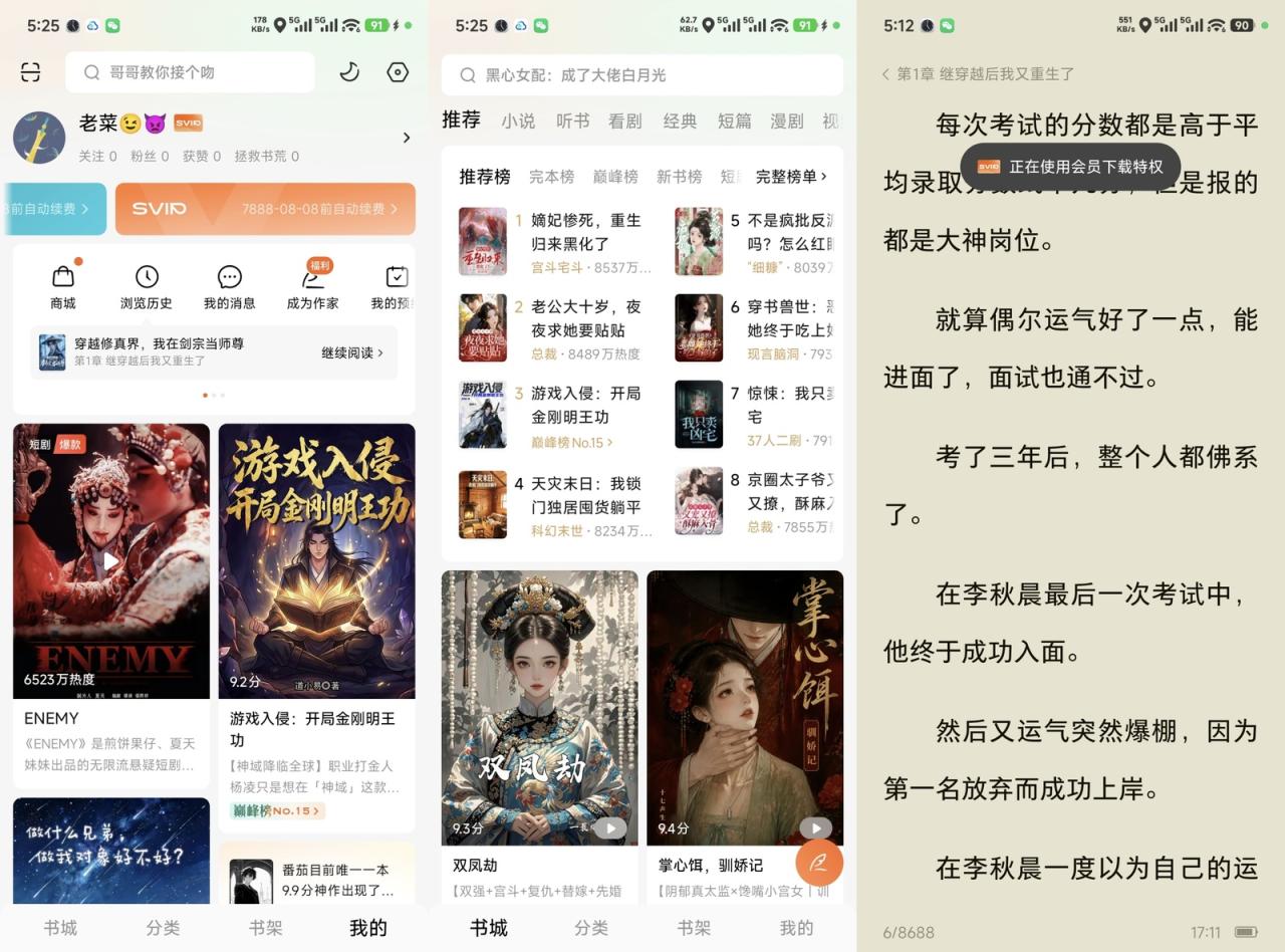 番茄小说SVIP版-全民创业网